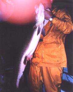 49 inch Muskie 9-2010